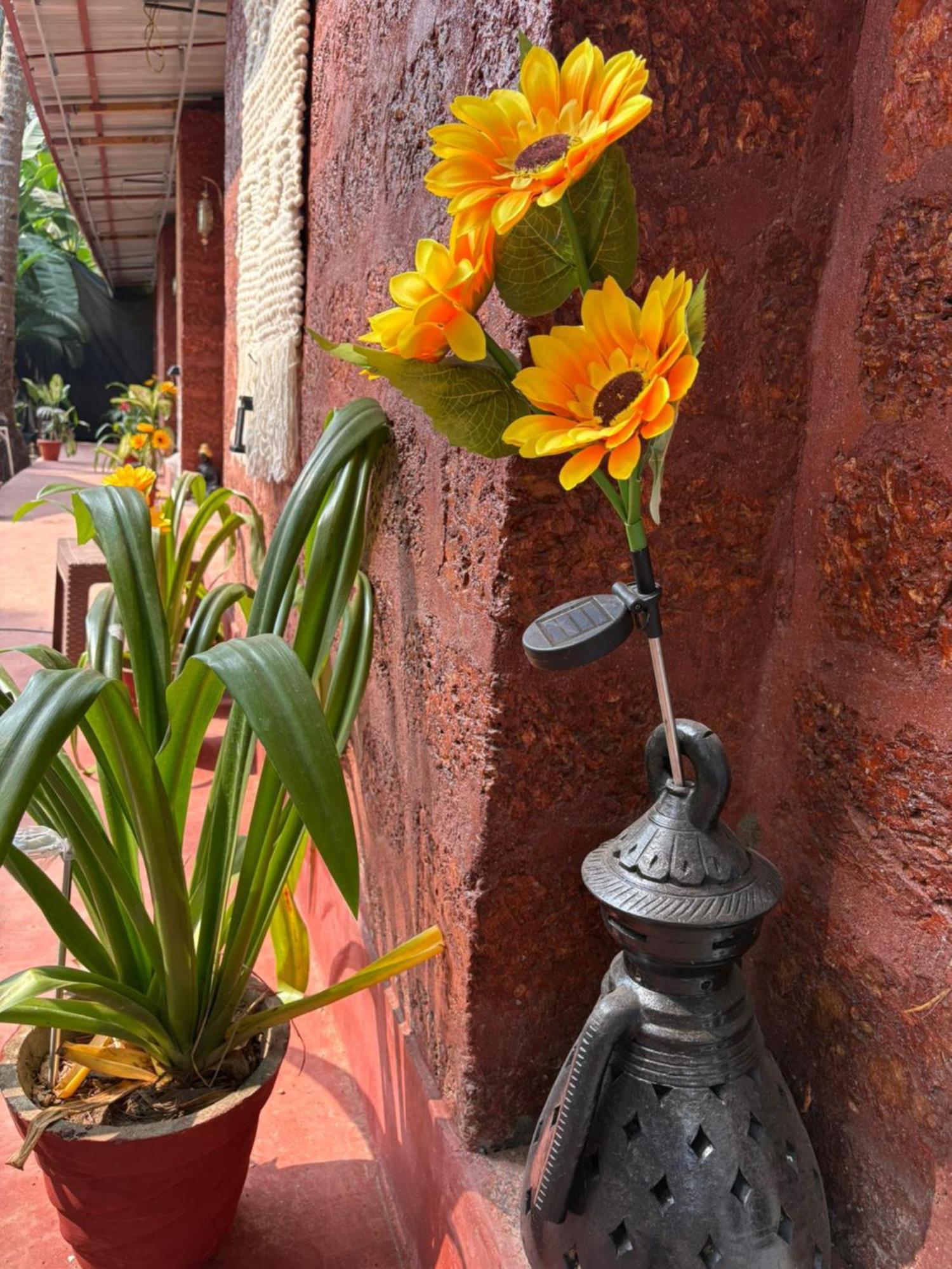 The Charming Nights Hotell Palolem Exteriör bild